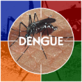 Brasil já registra mais de 155 mil casos de dengue em 2011; situação é grave nas regiões Norte, Nordeste e Sul